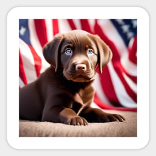 Patriotic Chocolate Lab Puppy Sticker